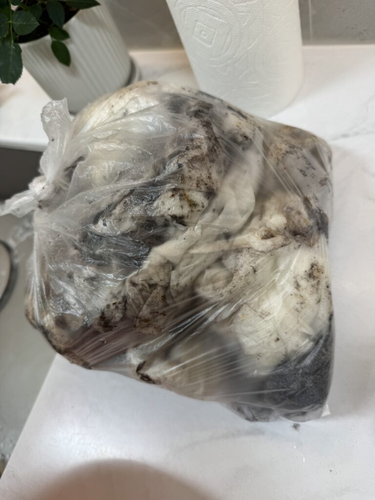 LG 14KG 건조기 AS 세척 결과